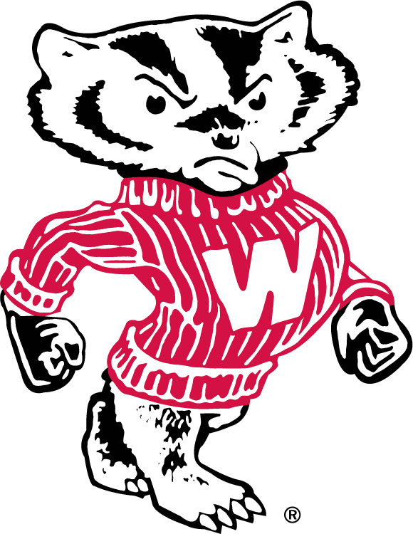 Wisconsin Badgers 1970-2003 Secondary Logo iron on transfers for T-shirts